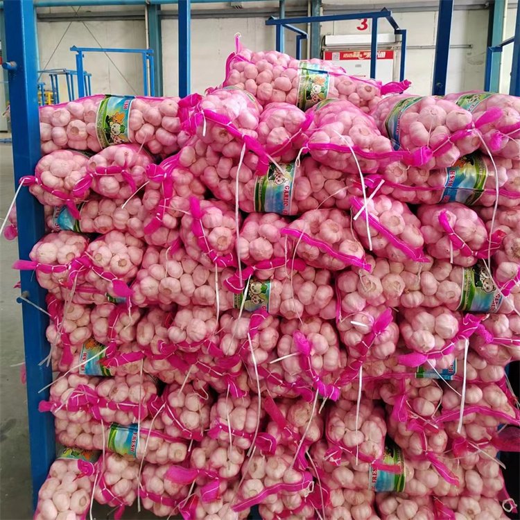 Fresh White Garlic 6.0cm WOHUA Supplier in China Low Price Wholesale Normal Pure Fresh Garlic