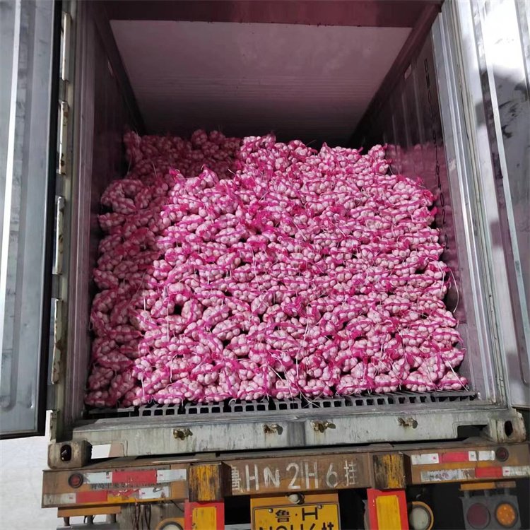 Fresh White Garlic 6.0cm WOHUA Supplier in China Low Price Wholesale Normal Pure Fresh Garlic