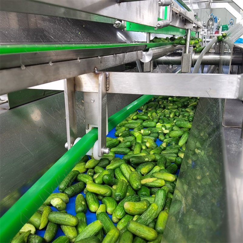 Canned fresh cucumber canned mix vegetable salt baby cucumber picked cucumber product line