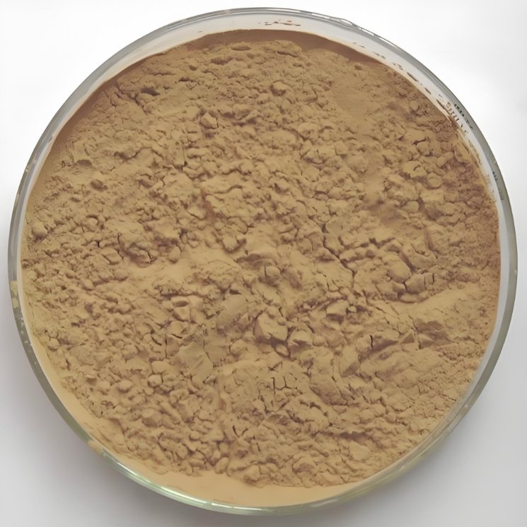 Factory Directly Sell Preservative-Free Plant Extract Enhancers Olive Leaf 20%