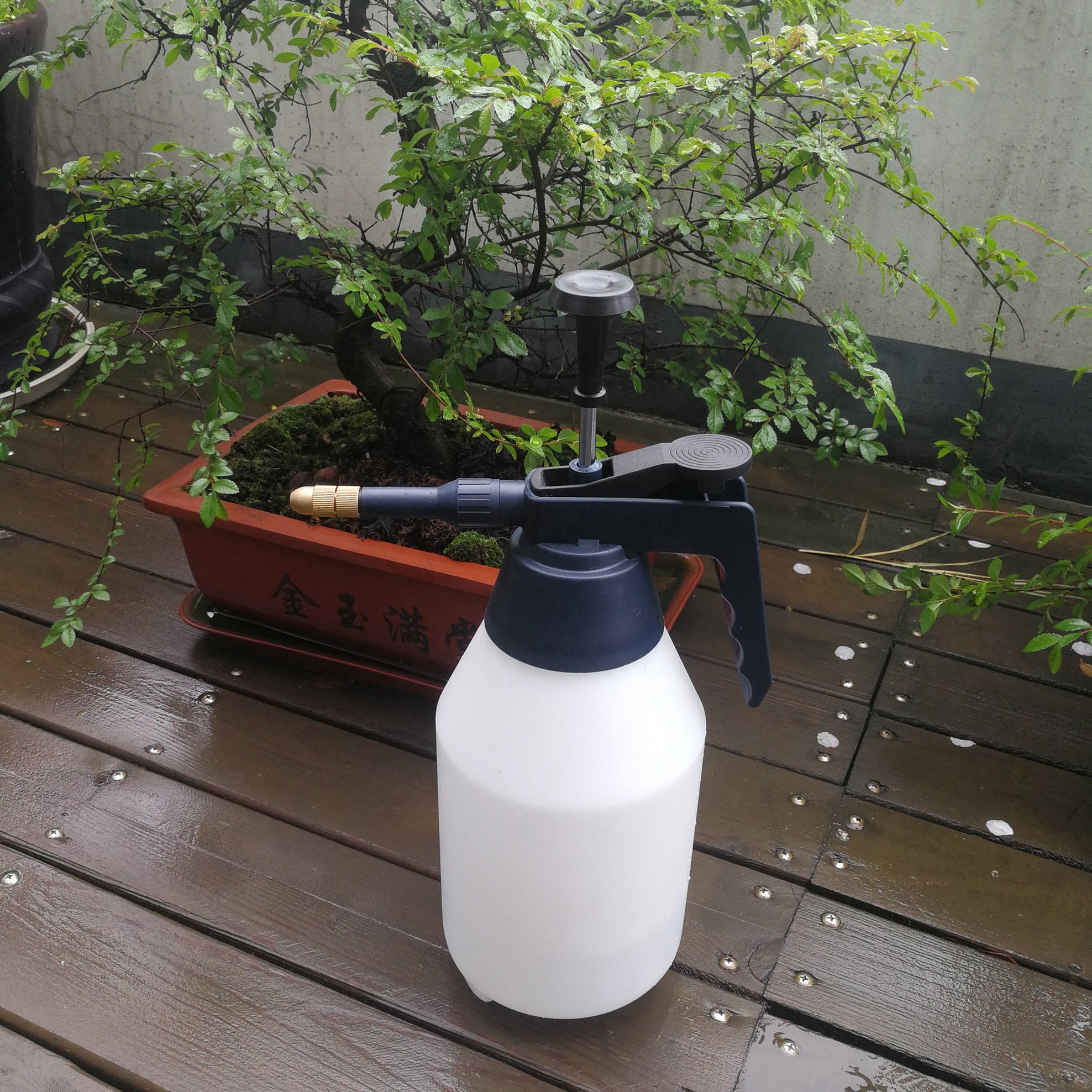 Garden Water Bottle Pressure Hand Sprayer 1L/1.5L/2L Handheld Large Pressurized Pump Trigger Sprayer