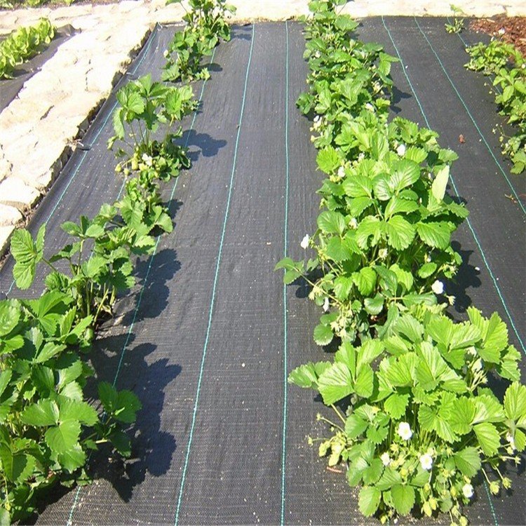 Anti Weed Mat Weed Control Barrier Landscape mulching Fabric for greenhouse