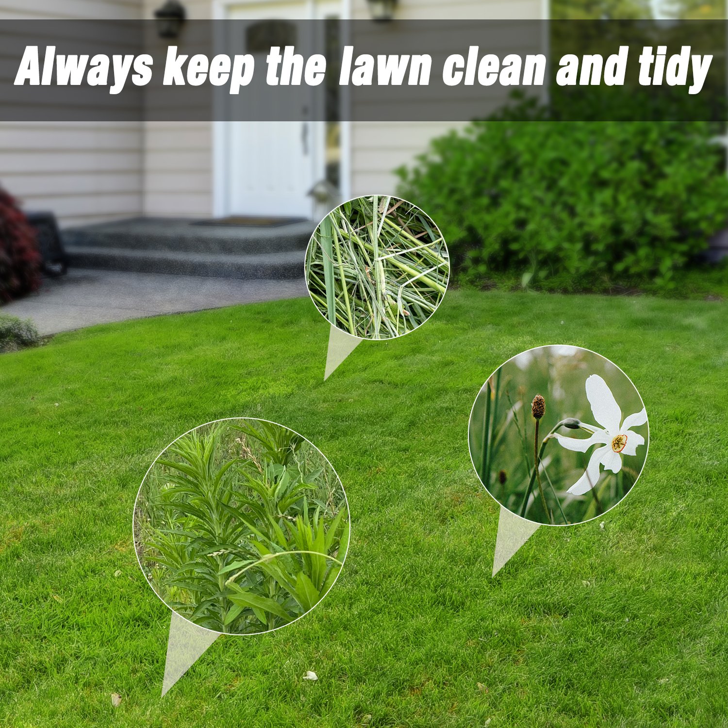 4-Claw Stand Up Manual Weeder Heavy-Duty Steel Claw Head with a Solid Wood Long Handle,Easily Remove Garden Weeds