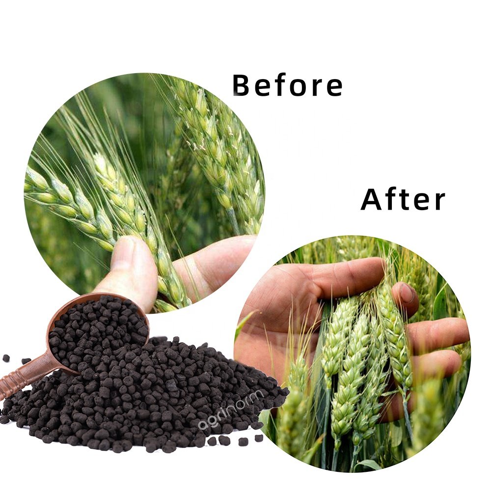 Organic Magic 100% Water Soluble Super Humic Acid 100% Organic Granular Fertilizer Promotes Vegetable Plant Growth In Soil