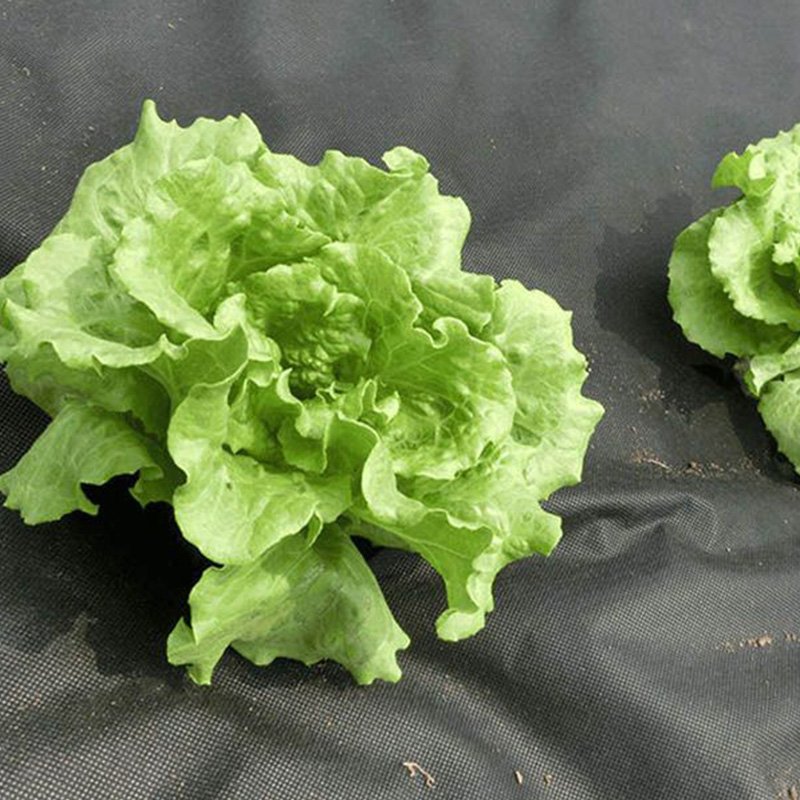 Effective Weed Control Polypropylene Spunbond Nonwoven Fabric For Vegetable Greenhouses PP Nonwoven Garden Supplies