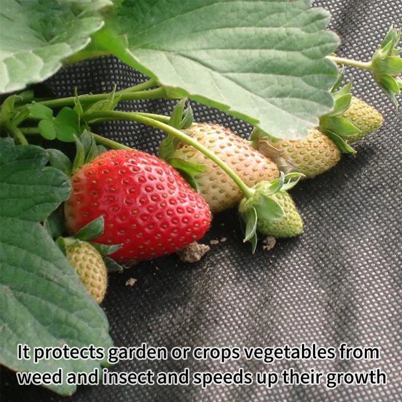 Effective Weed Control Polypropylene Spunbond Nonwoven Fabric For Vegetable Greenhouses PP Nonwoven Garden Supplies