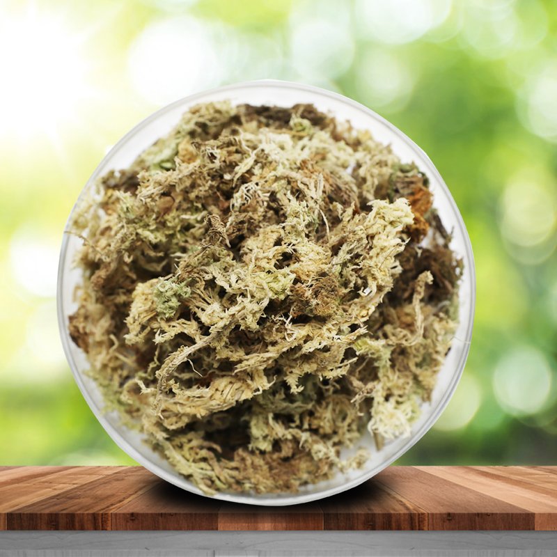 Premium Natural Long Fibered Orchid Moss Bulk Sphagnum Peat Moss for Plants Garden Supplies