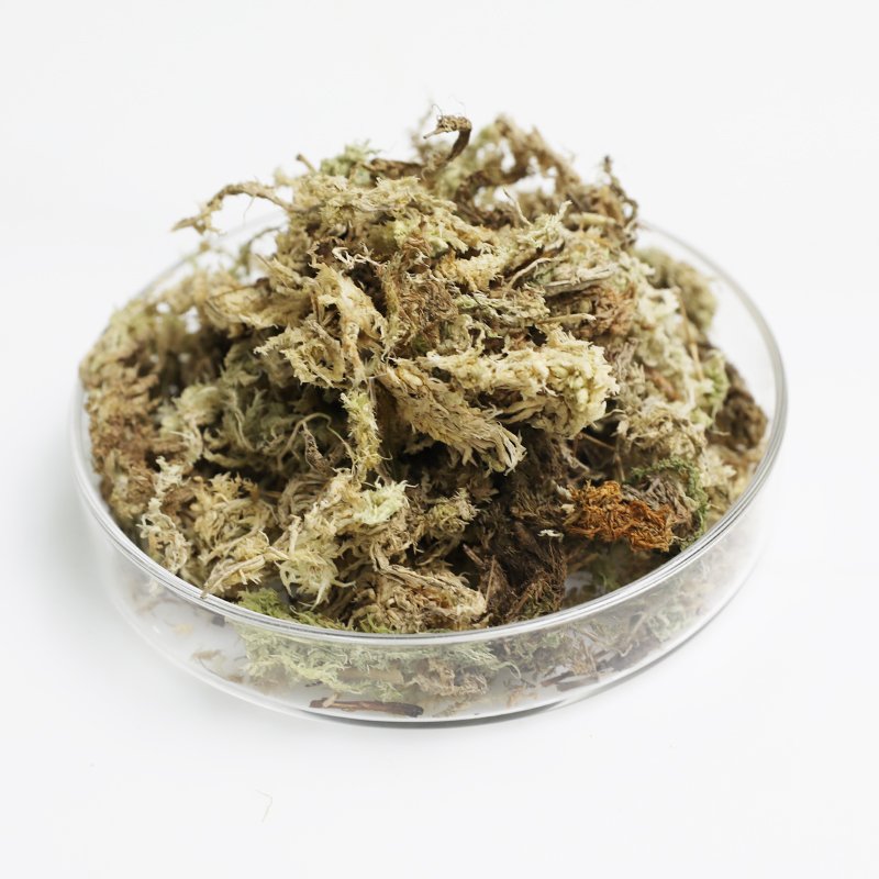Premium Natural Long Fibered Orchid Moss Bulk Sphagnum Peat Moss for Plants Garden Supplies
