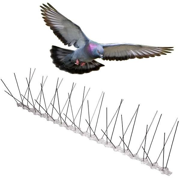DIY Stainless Steels and Plastic 50cm Bird Spike Control Anti Bird And Pigeons Spikes bird spikes manufacturer