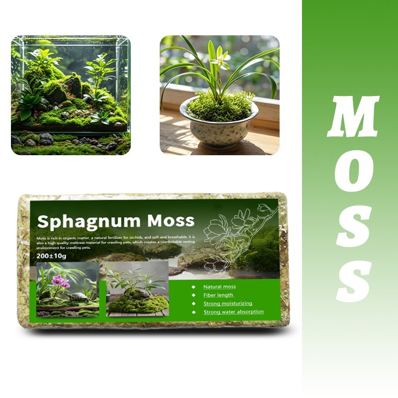 Sphagnum Moss for Water Gardening for Phalaenopsis Dendrobium officinale and Blueberry High Quality Garden Supplies