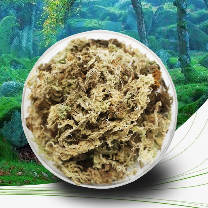 Sphagnum Moss for Water Gardening for Phalaenopsis Dendrobium officinale and Blueberry High Quality Garden Supplies