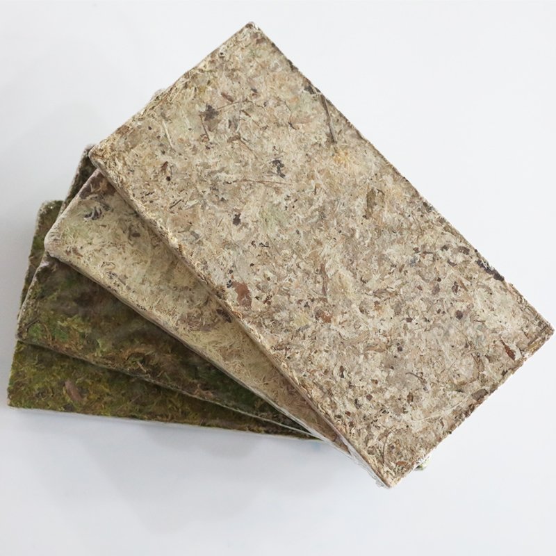Sphagnum Moss for Water Gardening for Phalaenopsis Dendrobium officinale and Blueberry High Quality Garden Supplies