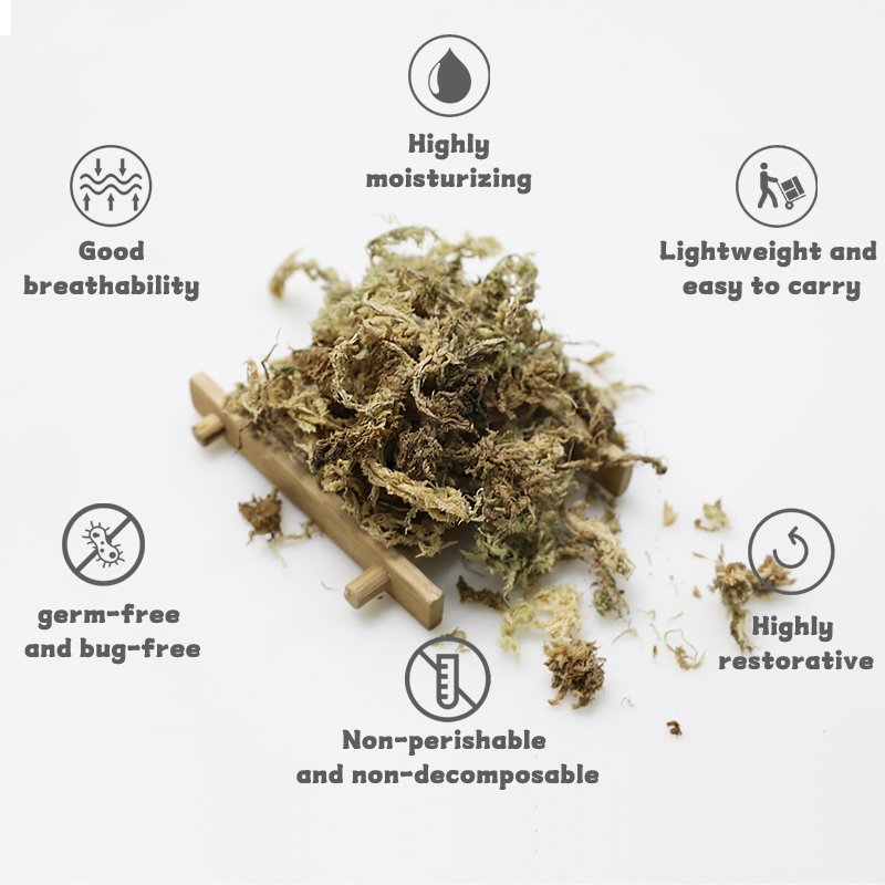 Sphagnum Moss for Water Gardening for Phalaenopsis Dendrobium officinale and Blueberry High Quality Garden Supplies