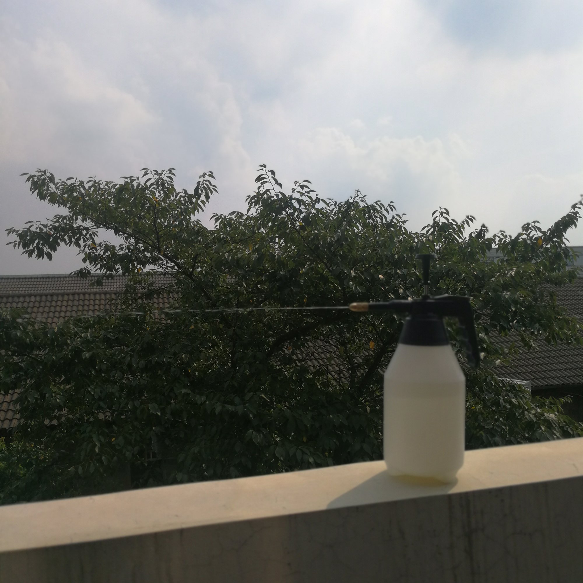1.5L/50oz Handheld pressure hand pump sprayer