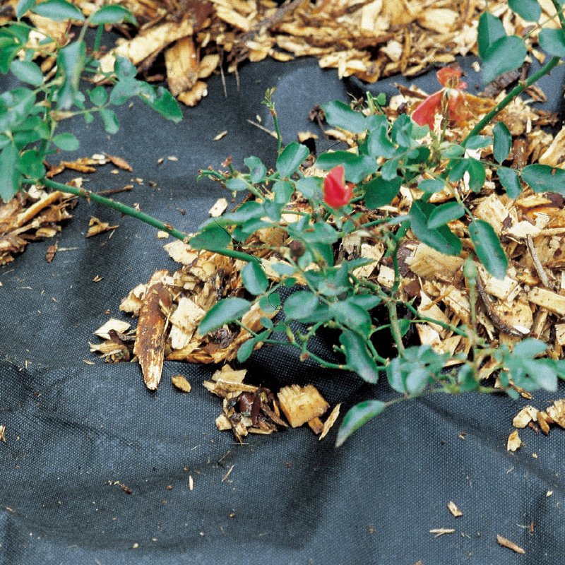 Effective Weed Control In Vegetable Greenhouses With Polypropylene Spunbond Nonwoven Fabric PP Garden Supplies