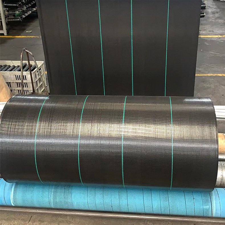 Custom-Size PP Woven Membrane PE Ground Cover Mesh Weed Mat Roll Anti-Grass Control Cloth for Garden Supplies Mulch Film
