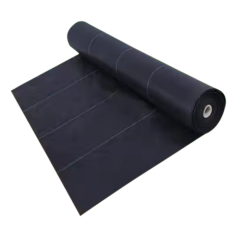Custom-Size PP Woven Membrane PE Ground Cover Mesh Weed Mat Roll Anti-Grass Control Cloth for Garden Supplies Mulch Film