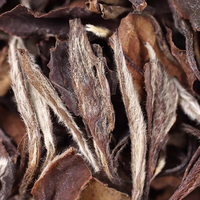 China's original White tea ecological wholesale loose importers detox tea in bulk liver tea flat tummy products