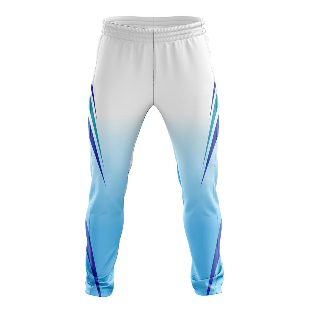 2023 customized sublimation cricket kit uniform set for men adult sizes half sleeve Cricket shirt and pant With Logo And Tea