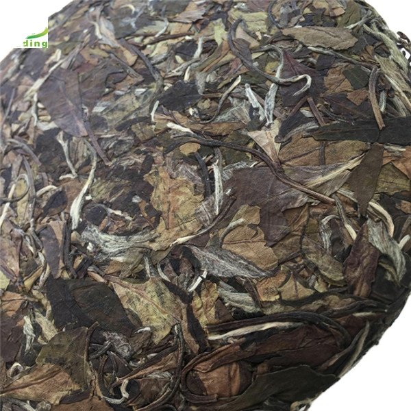 Fuding Gongmei White Cake Tea Natural wholesale 17 Years High Mountain Sun White Tea 350g