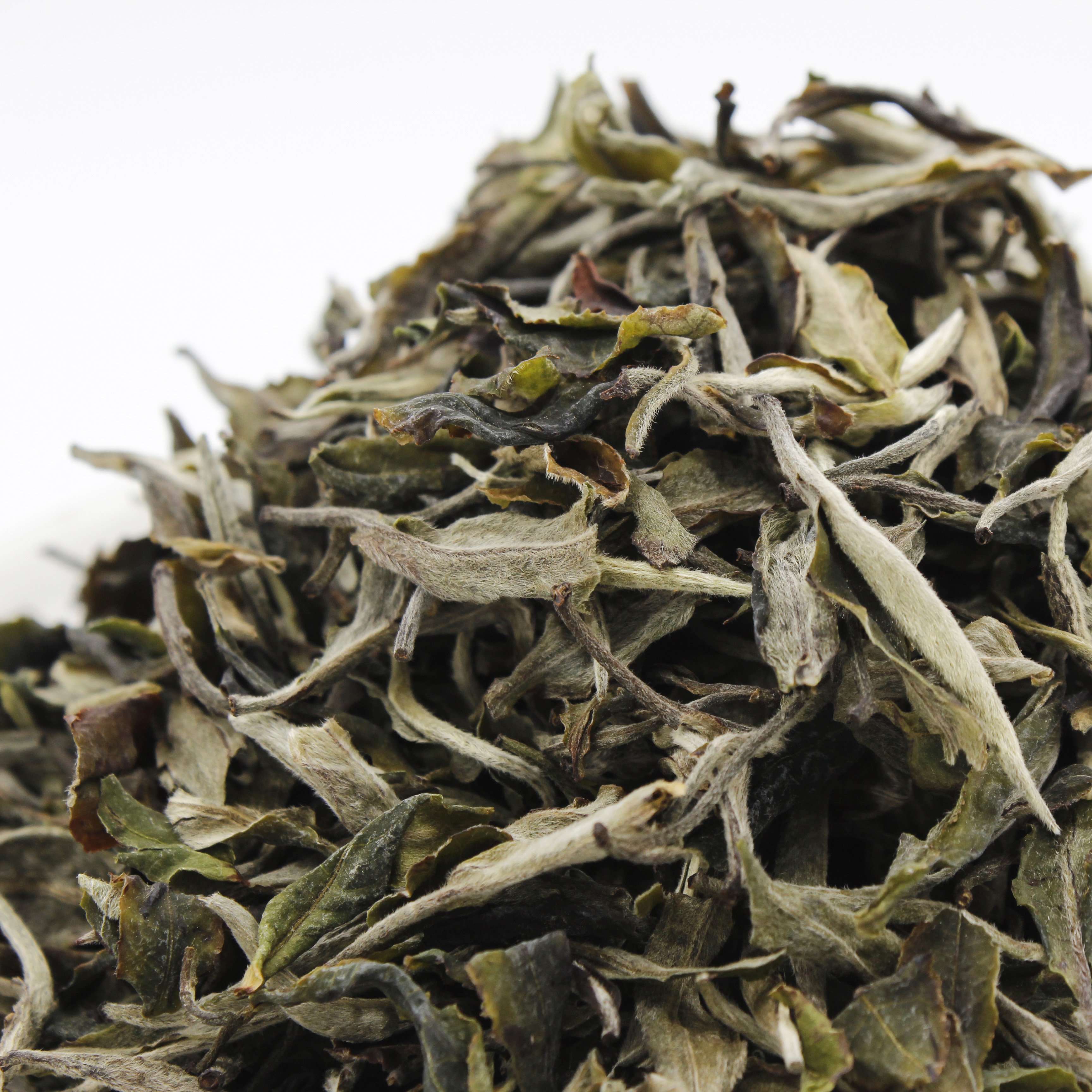 Loose leaf organic tea 100g weightloss kungfu Fuding White Tea