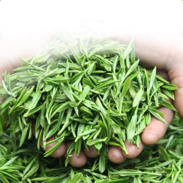 China Zhejiang Songxi organic Xiang cha Xiang Cha Yunwu Green Tea Clouds & Mist Green Tea