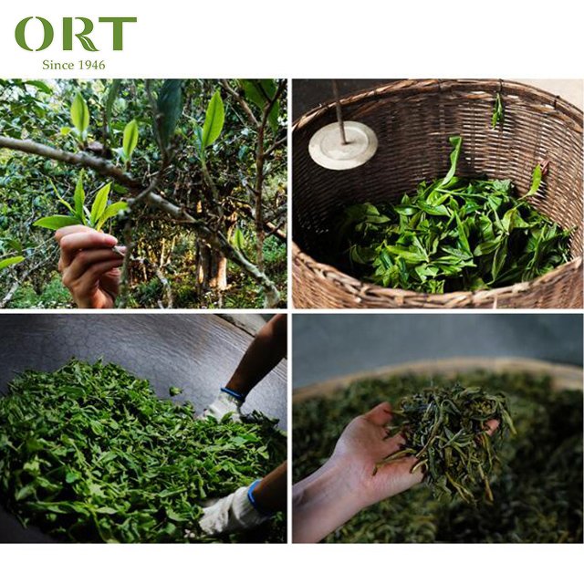 Factory Wholesale Yunnan White Tea-mini Brick Tea 5g/ Yunnan White Tea Tuo Cha 5g Packaging Customization
