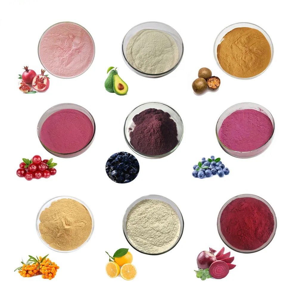 High quality Natural Pure Blackberry fruits Powder OEM Spray dried Blackberry Concentrate Juice Powder