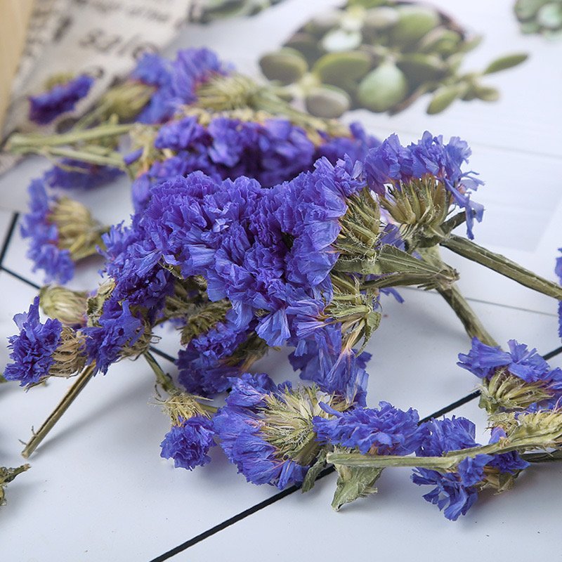 Natural dried flower tea forget-me-not beautiful dried herbal teas wu wang wo OEM order customize logo bulk packing herbs tea