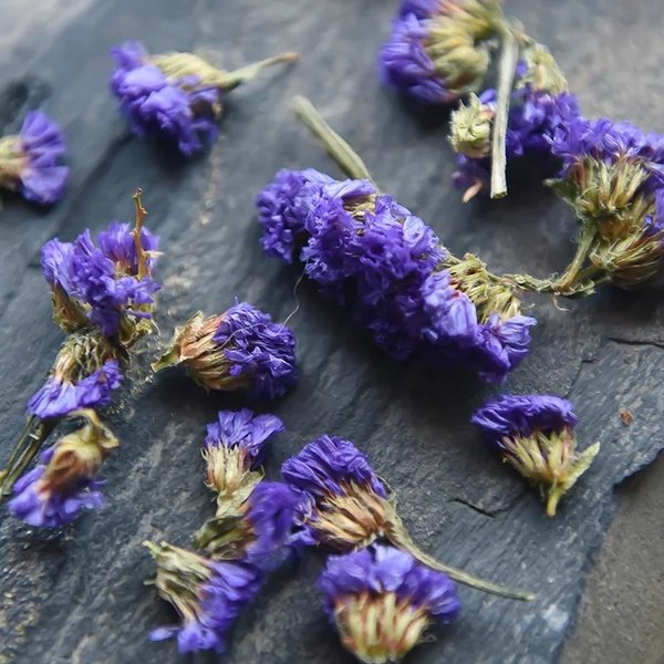 Natural dried flower tea forget-me-not beautiful dried herbal teas wu wang wo OEM order customize logo bulk packing herbs tea