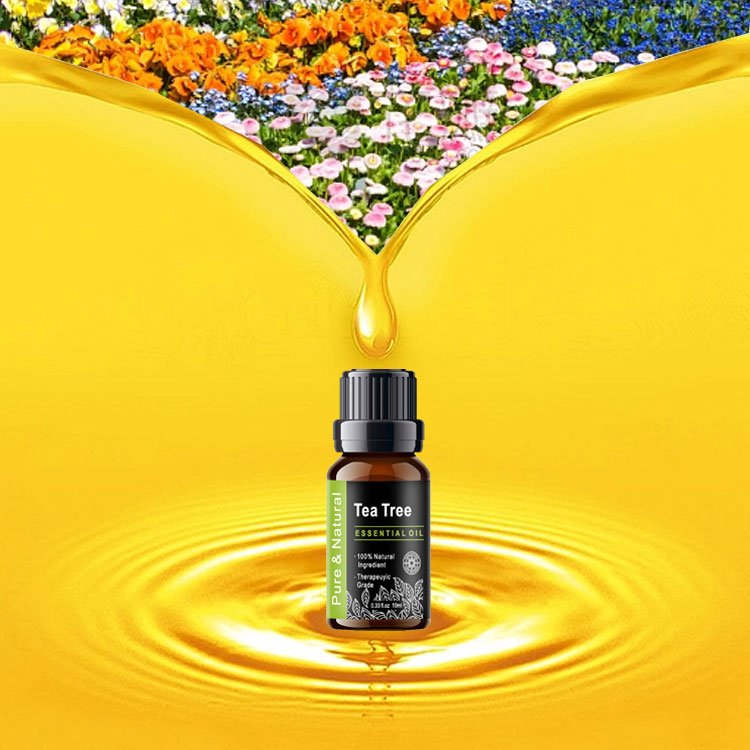 Wholesale 10ml Screw Lid Enlargement Body Oil Massage Essential Oil (New) Supplier For Spa With Black Box