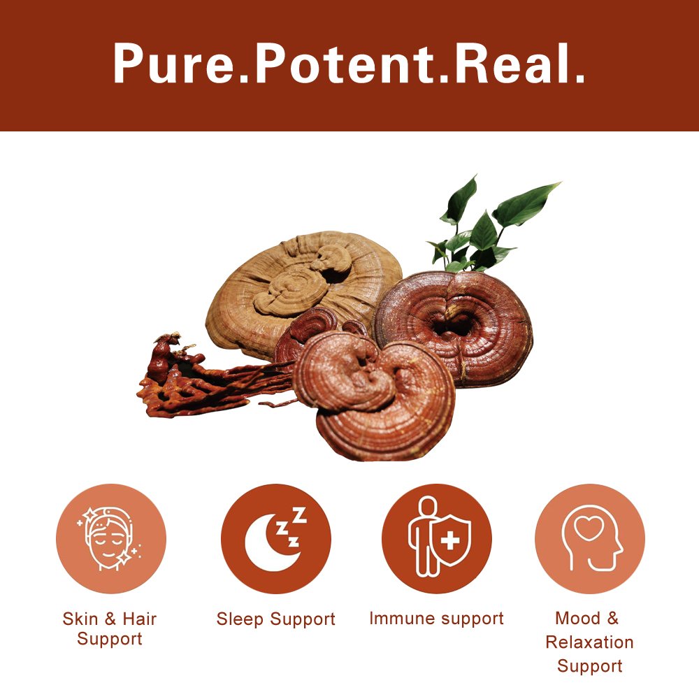 OEM Wholesale price OEM own brand Reishi extract tablets supplement mushroom tablets