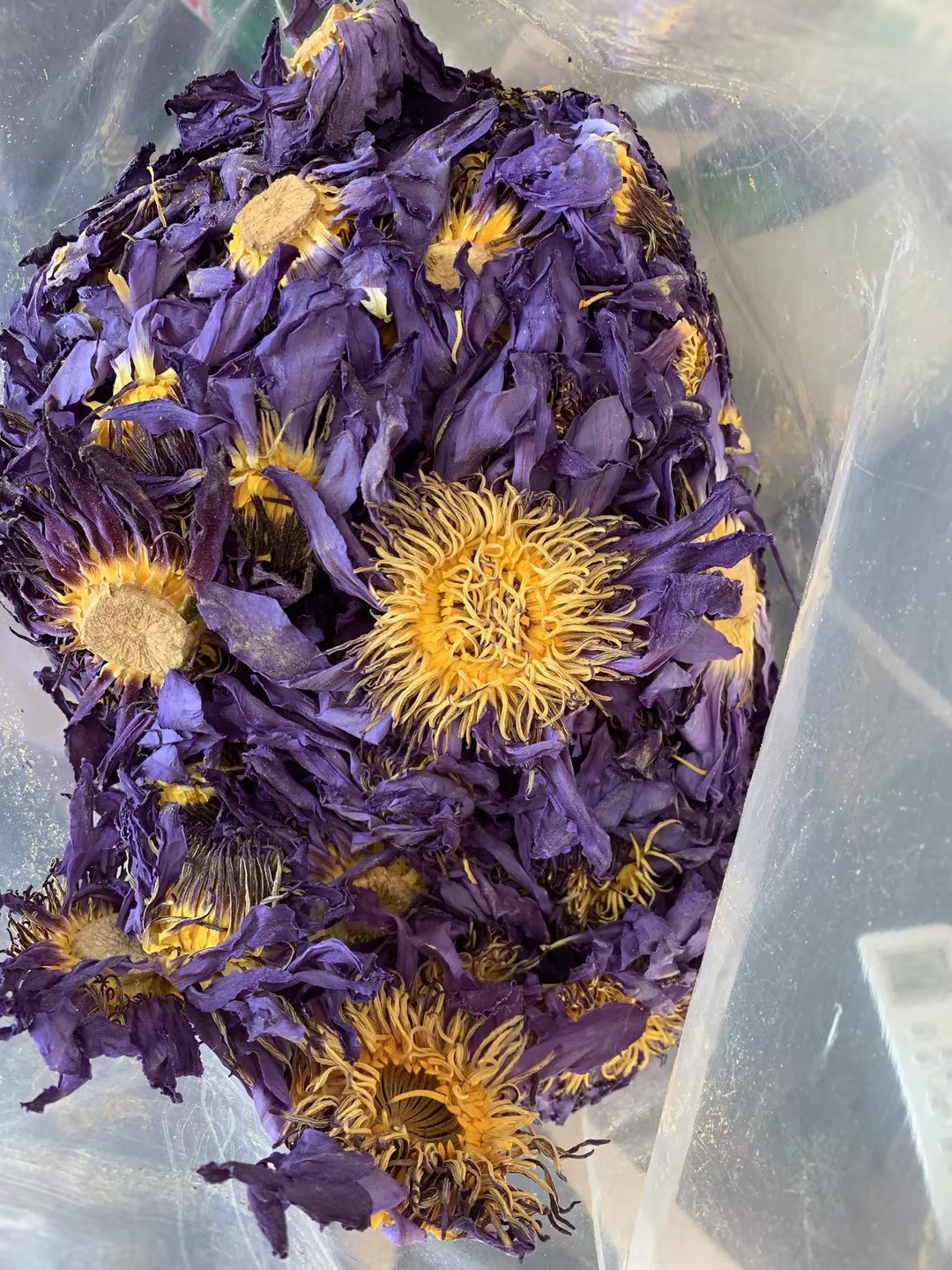 Organic Blue Lotus Flower Tea Dried Lotus Flower Tea organic blue lotus flower