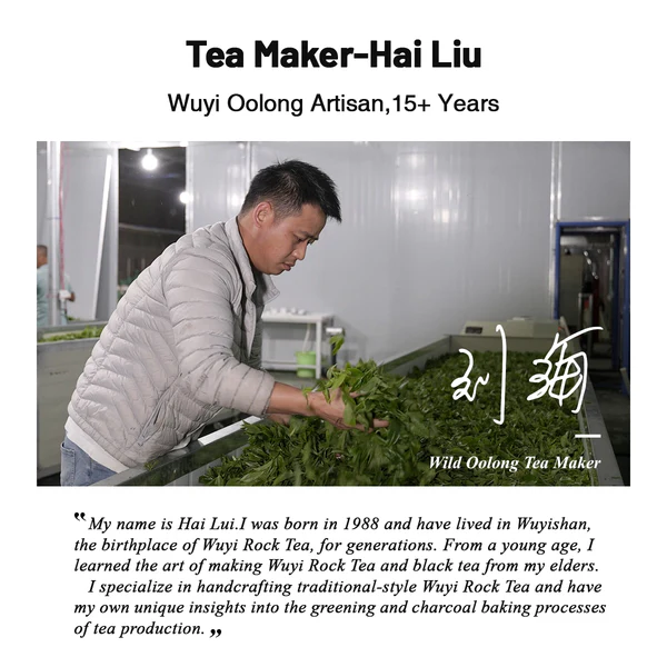iTeaworld Luxury Chinese Wild Oolong Tea Set Hand Rolled Oolong Tea In Can Slimming Tea
