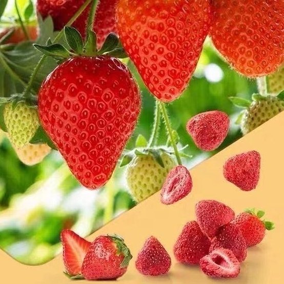 1kg large freeze-dried strawberries on sale, large quantity discount
