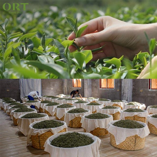 New Craft Bai Cui Mei White Tea