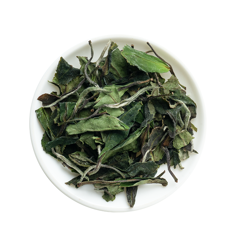Handmade Premium Organic Dazhangshan White Tea Factory Wholesale Healthy Loose Slimming Tea in Box New Age Chinese White Tea