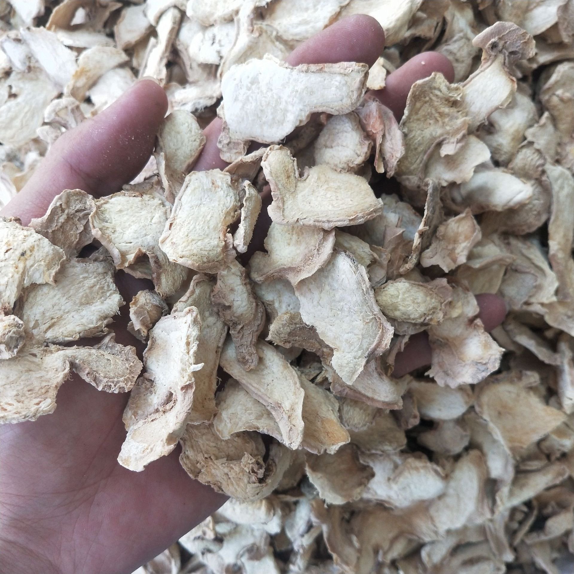 Dried Ginger Slies Organic Chinese Herb Jiang Pian For Extract/Tea/Powder | Whole/Pieces/OEM Available / PMS Relieve