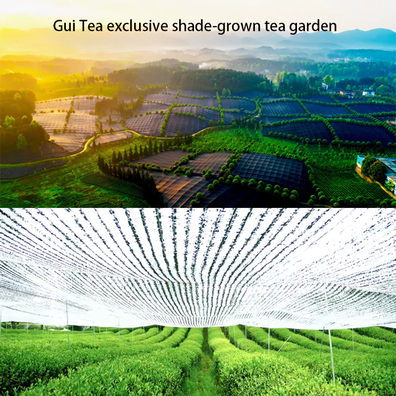 Wholesale 100g Packed Organic Ceremonial Grade Halal Matcha Green Tea Powder