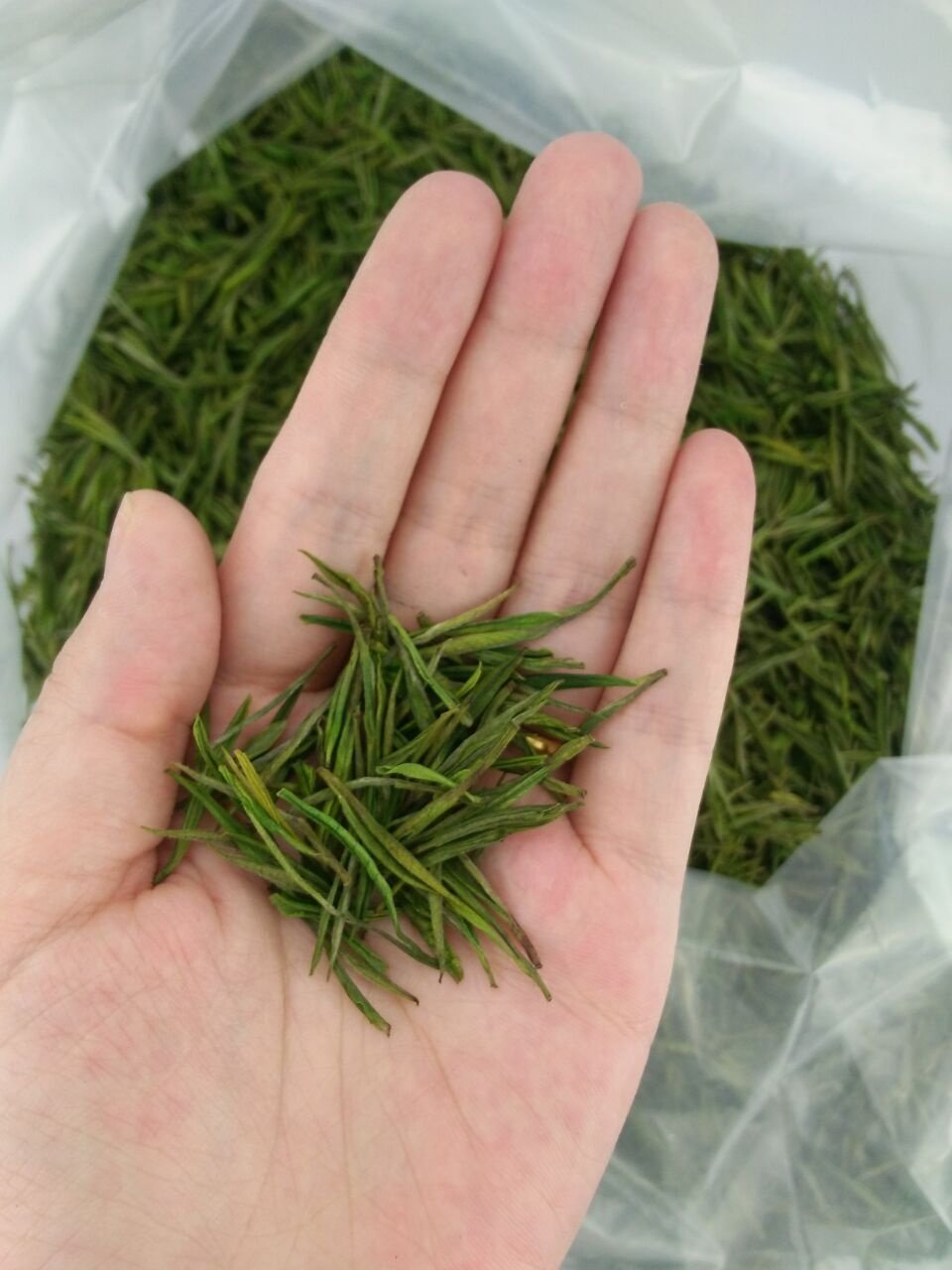 Factory Wholesale Organic Anji White Tea Slimming Healthy Green Tea Packaging Customization