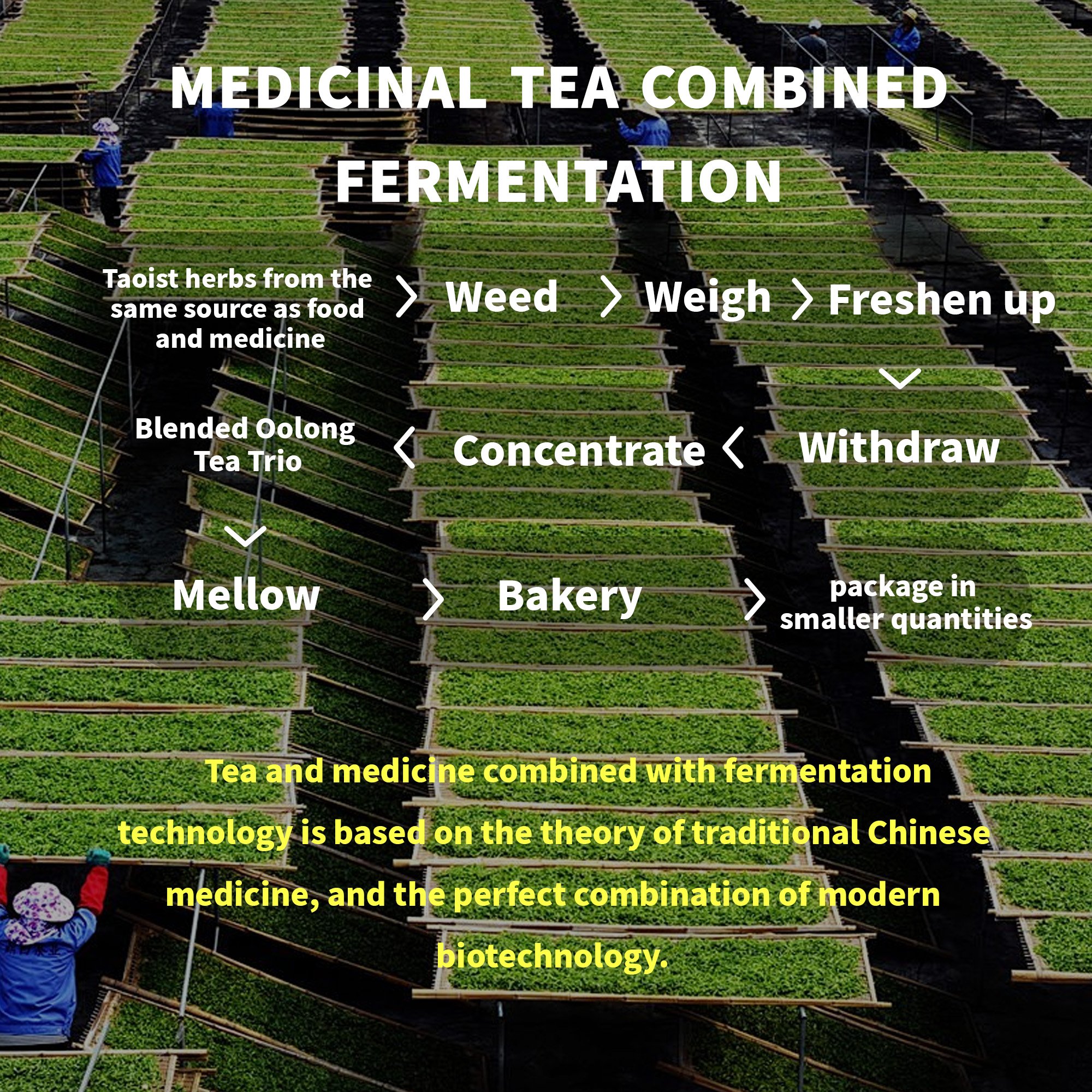 Hot 28 Boxes Of Slimming, Oil-Drainage Body Toning Thatched-Root Licorice Oolong Tea for People With Irregular Diets