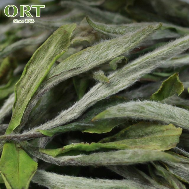 China Fuding Needle White Peony White Tea Cake 100G