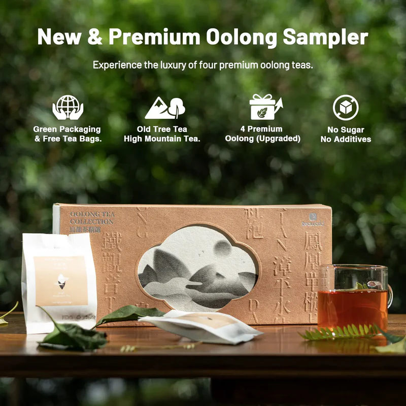 iTeaworld Osmanthus Aroma Wuyi Mountain Rock Tea Box Da Hong Pao Handmade Tea