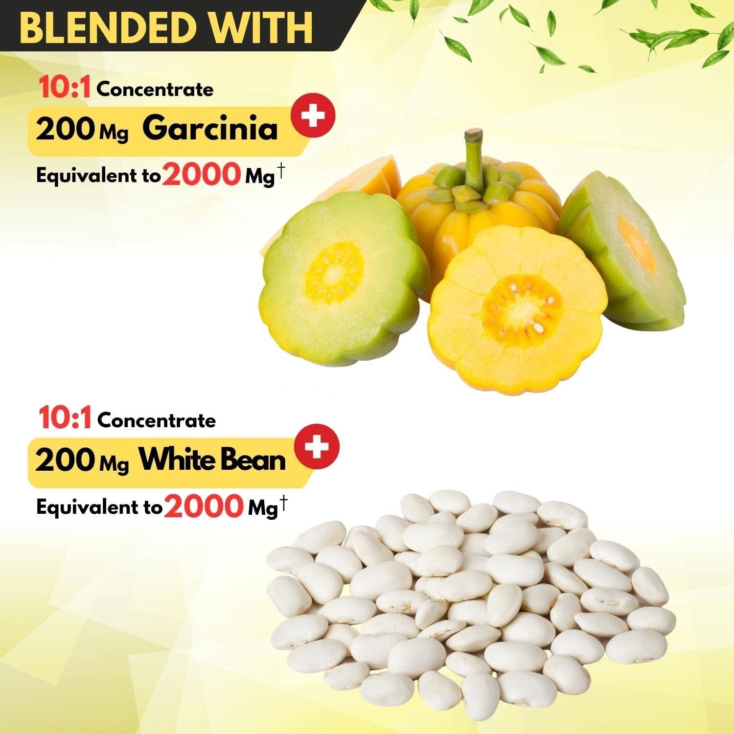 OEM Green tea capsules for Quick Detox Colon Cleanser green tea ingredients for adult with Garcinia Cambogia