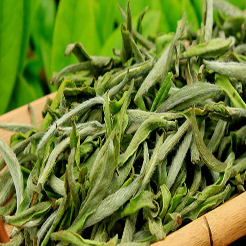 100% Health Slimming Tea Organic White Peony Organic White Tea with Favorable Price