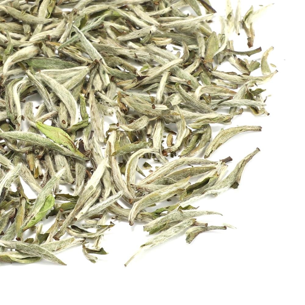 Free Sample Top Quality Organic White Tea Silver Needle Bai Hao Yin Zhen Tea