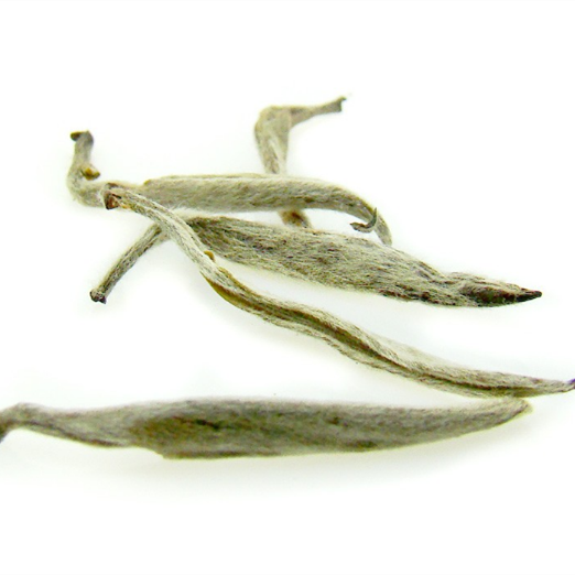 Free Sample Top Quality Organic White Tea Silver Needle Bai Hao Yin Zhen Tea