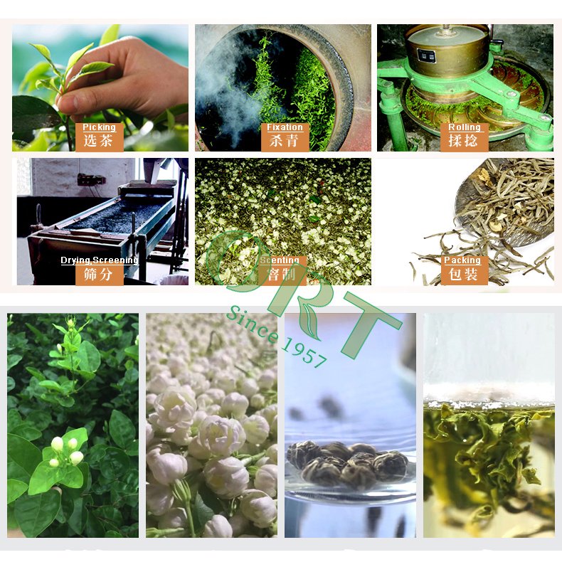 Jasmine Xiang Hao Green Tea