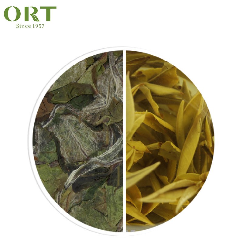 Organic Bai Mu Dan White Peony Tea white tea