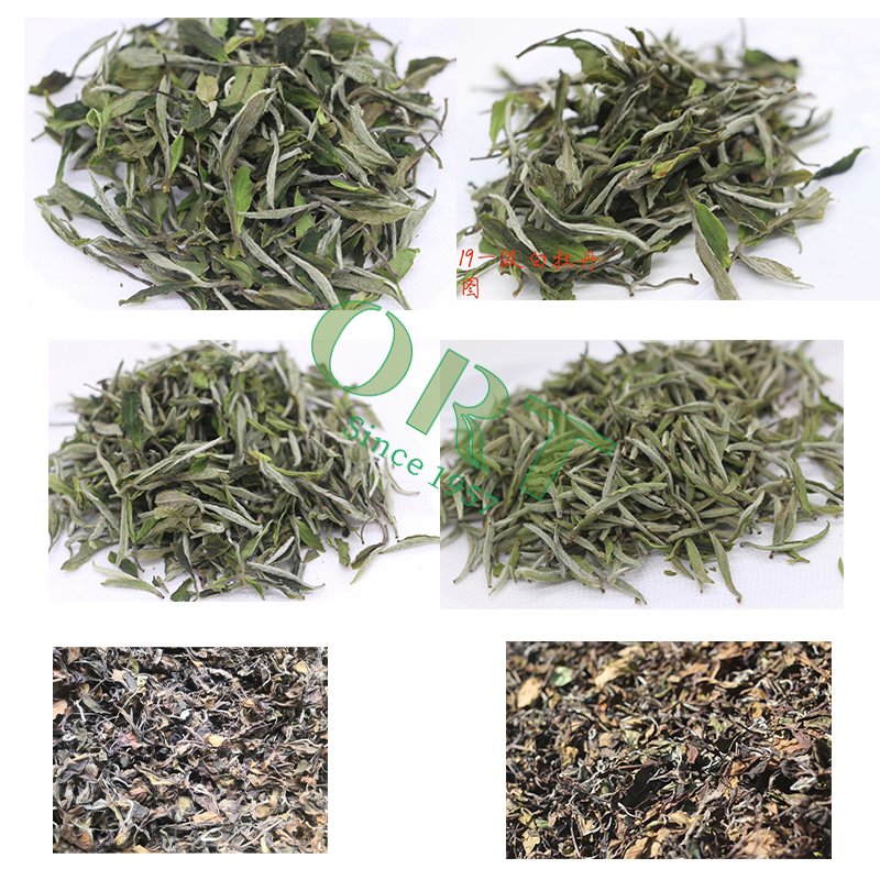 Organic Bai Mu Dan White Peony Tea white tea